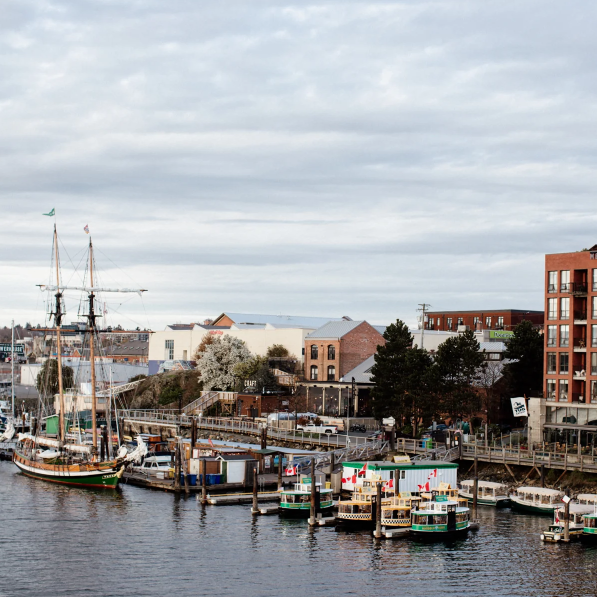 Public’s Guide to the Best Neighbourhood in Victoria to Discover