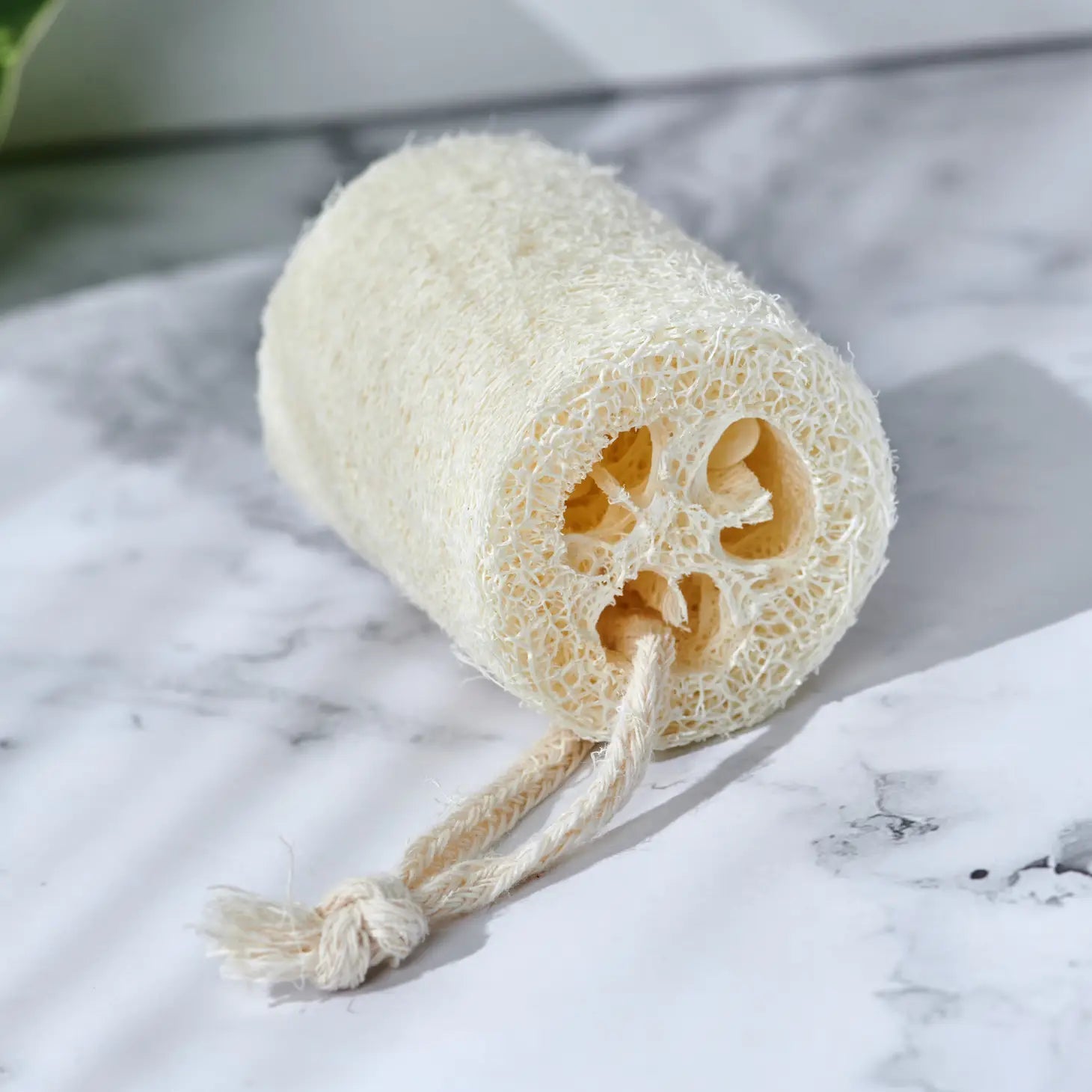 Bath Loofah - Public Mercantile
