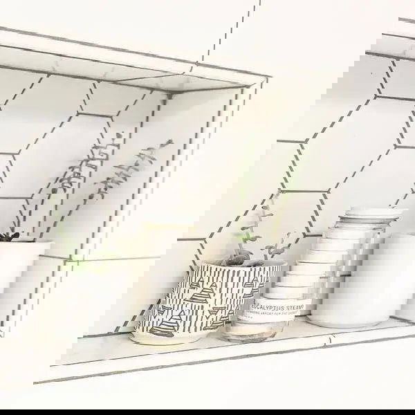 Eucalyptus Shower Steamers - Public Mercantile