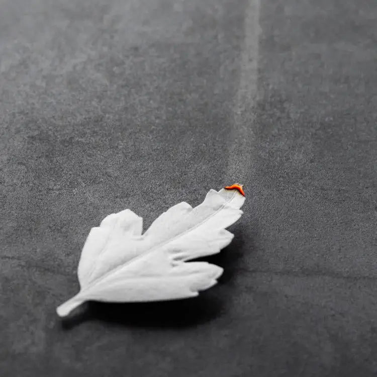 Feuilles d'encens en papier HA KO — Bois de santal blanc