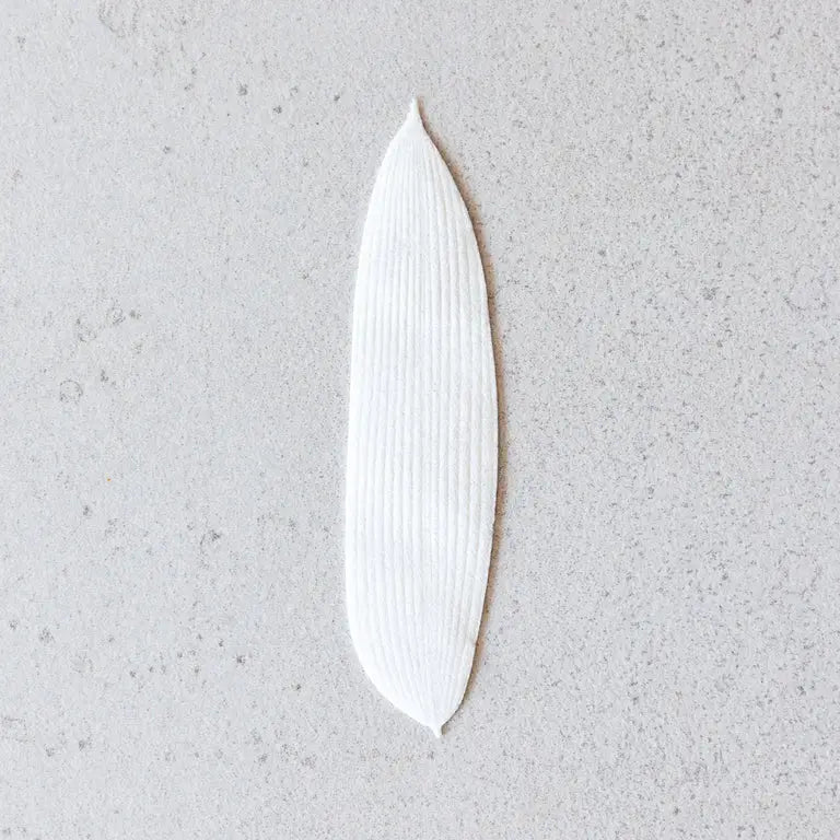 Feuilles d'encens en papier HA KO — Mousse d'été blanche