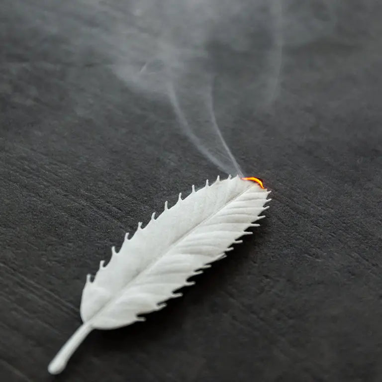 Feuilles d'encens en papier HA KO — Cèdre blanc d'hiver