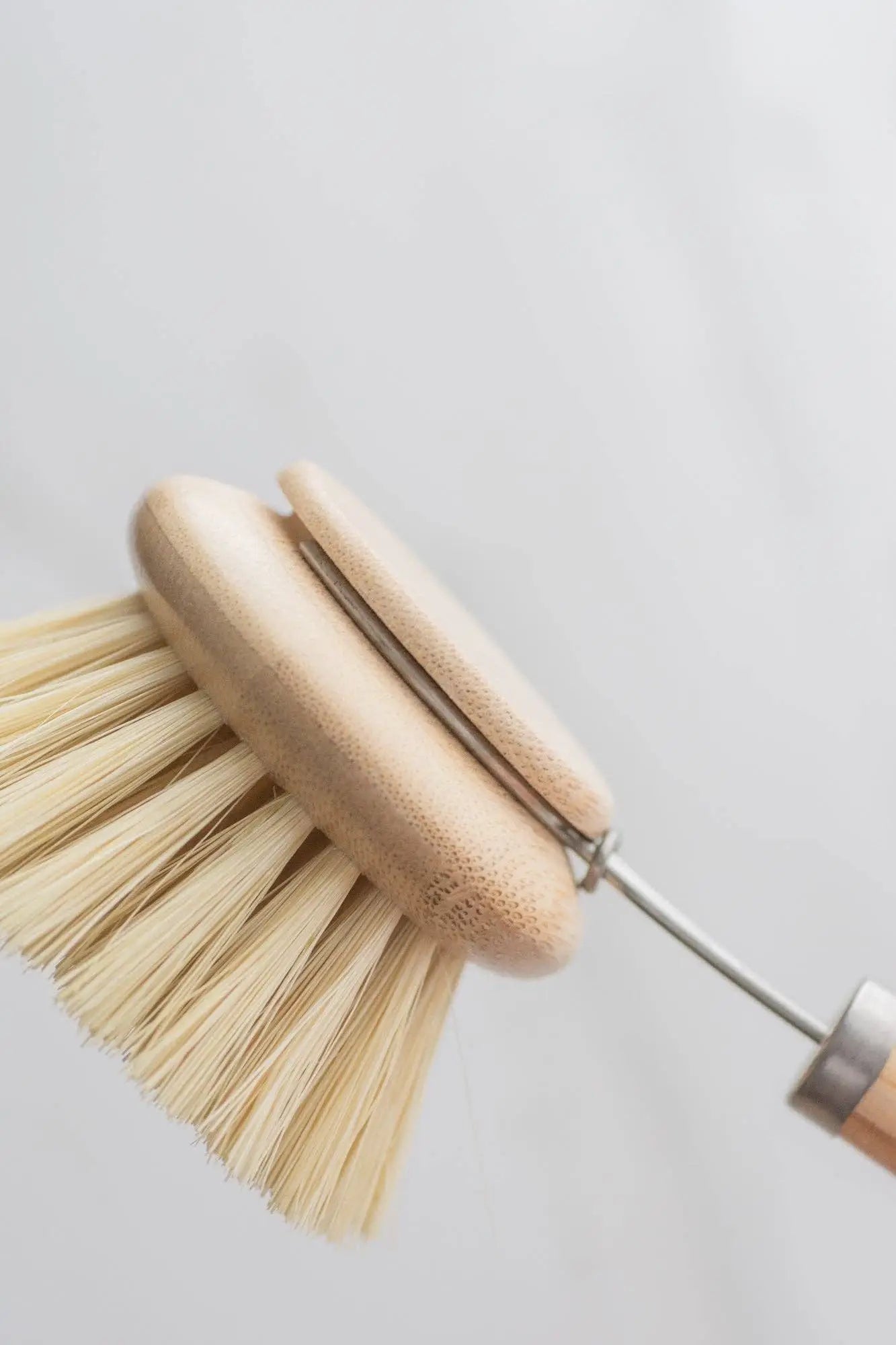 Replacement Head for Long Handled Dish Brush - Public Mercantile