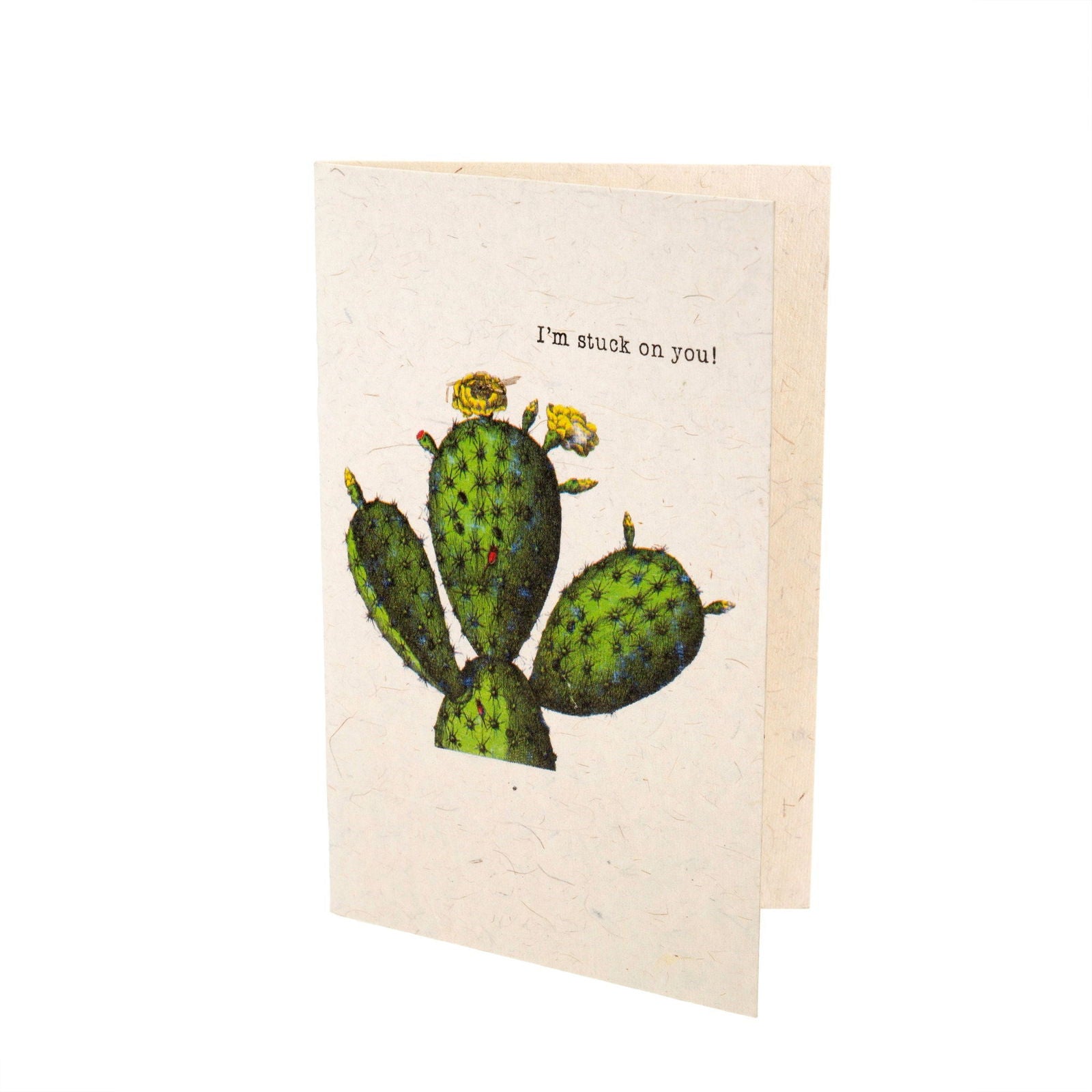 Stuck on You Cards - Set of 4 - Public Mercantile
