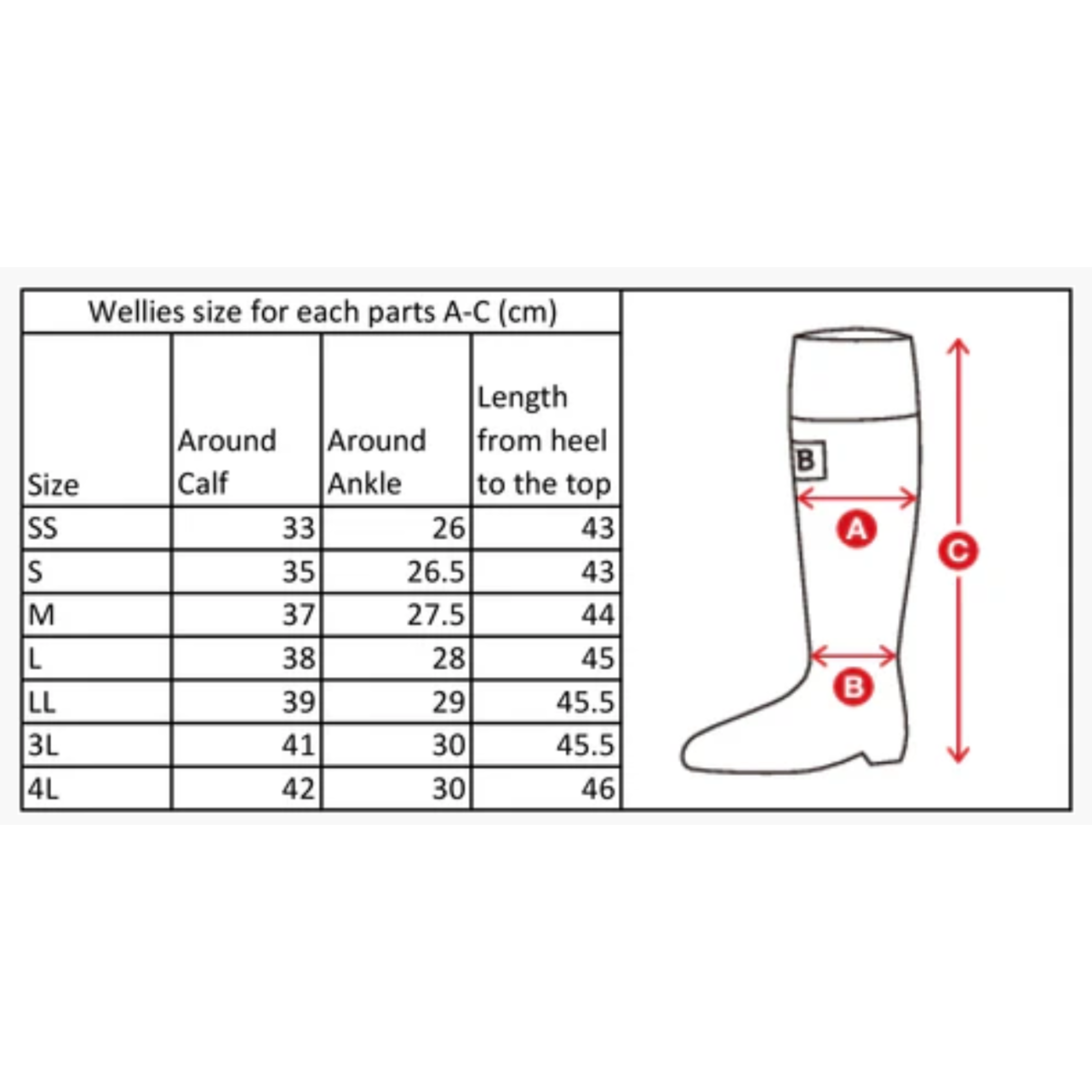 WBSJ Rain Boots — Grey