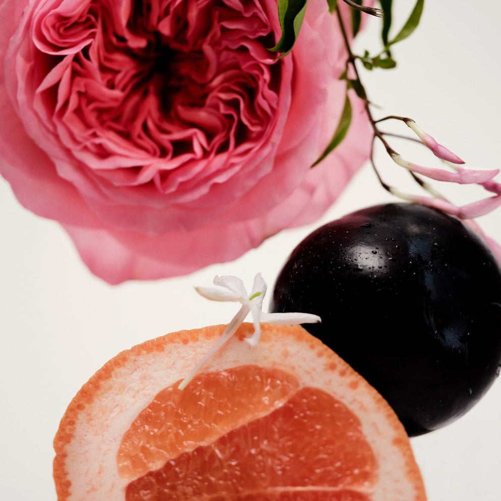 No.14 Icila Perfume Oil — Maison Louis Marie - Public Mercantile