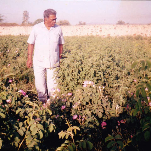 Eau de Parfum Sex & Jasmin — Libertine