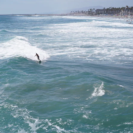 14 The Surf Shop in San Diego Candle — Lola James Harper - Public Mercantile