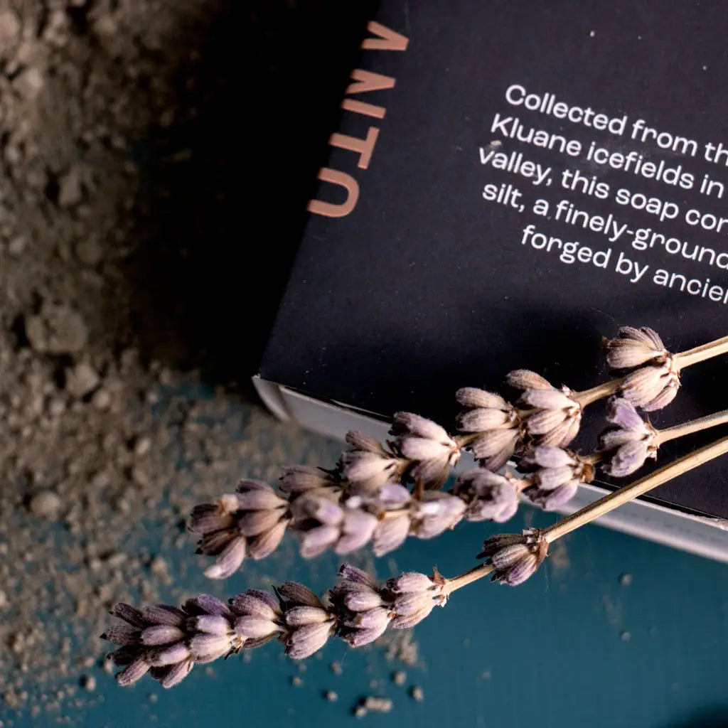 Glacial Silt Wild Harvest Bar Soap - Public Mercantile