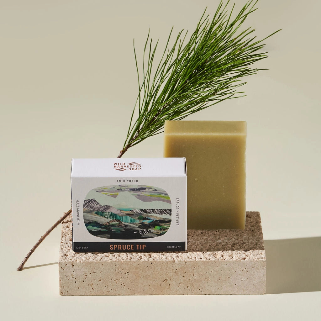 Spruce Tip Wild Harvest Bar Soap - Public Mercantile