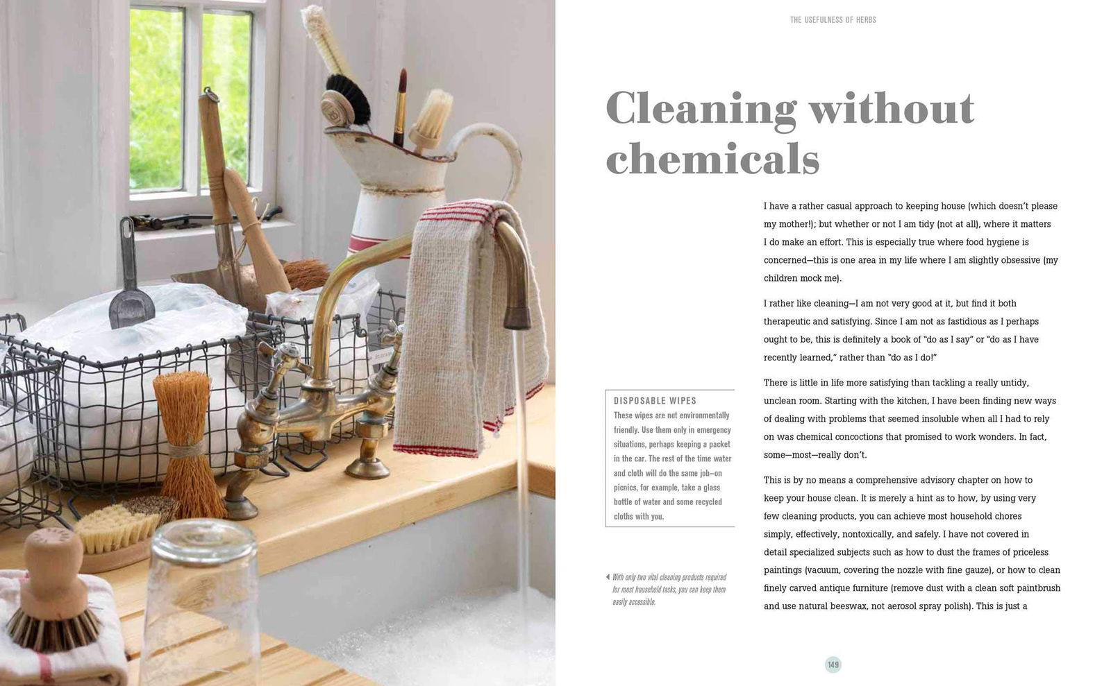Green Housekeeping Book by Christina Strutt - Public Mercantile