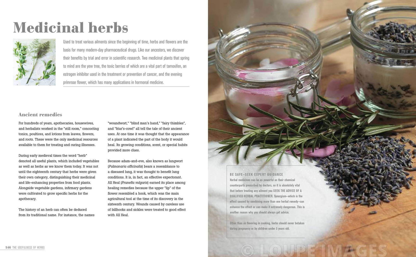 Green Housekeeping Book by Christina Strutt - Public Mercantile