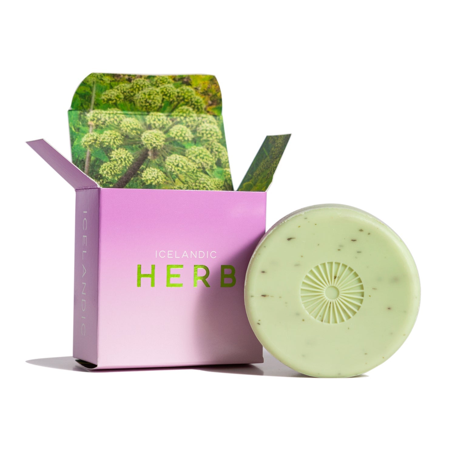 Halló Iceland Angelica Herb Bar Soap - Public Mercantile