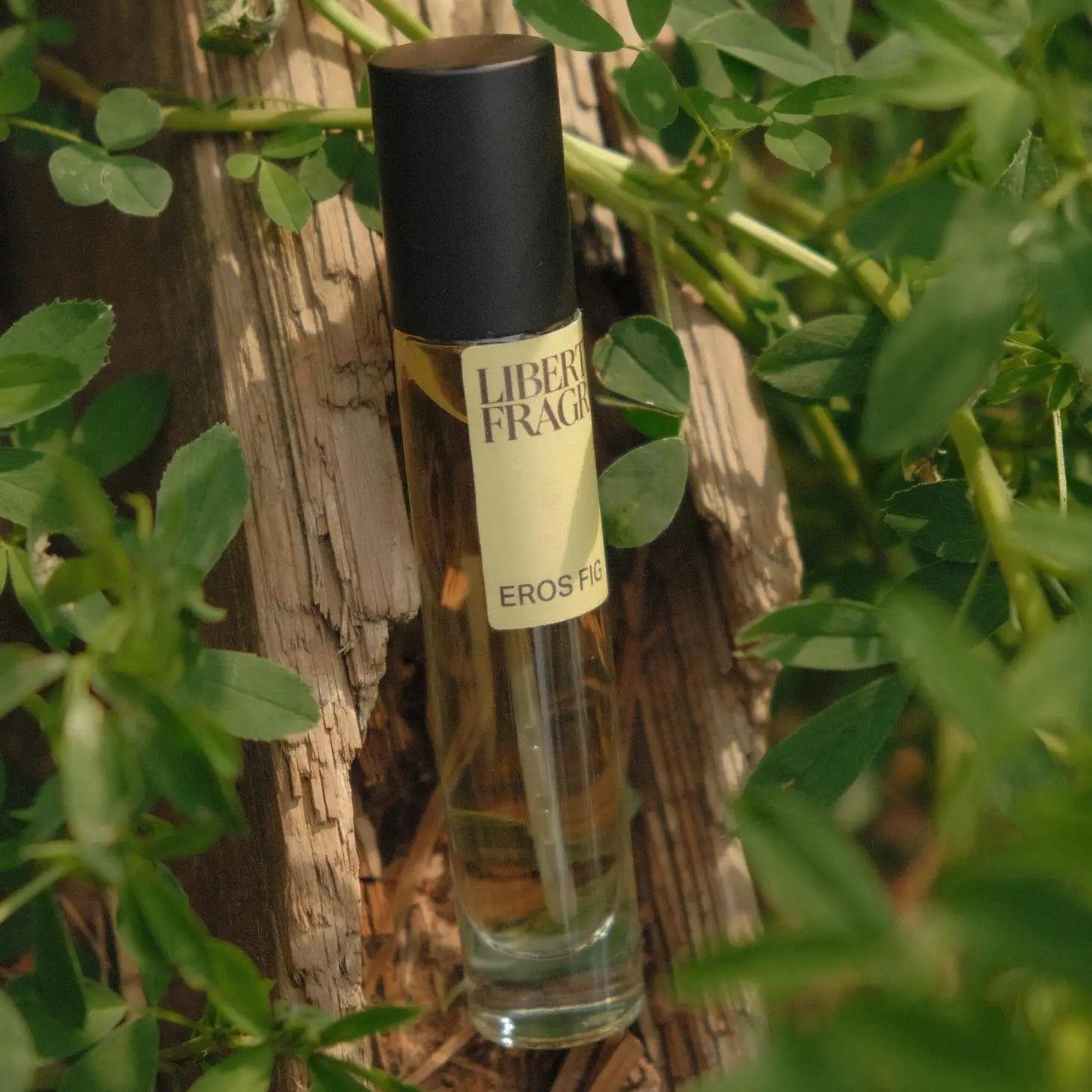 Libertine Eau de Parfum - Eros Fig - Public Mercantile