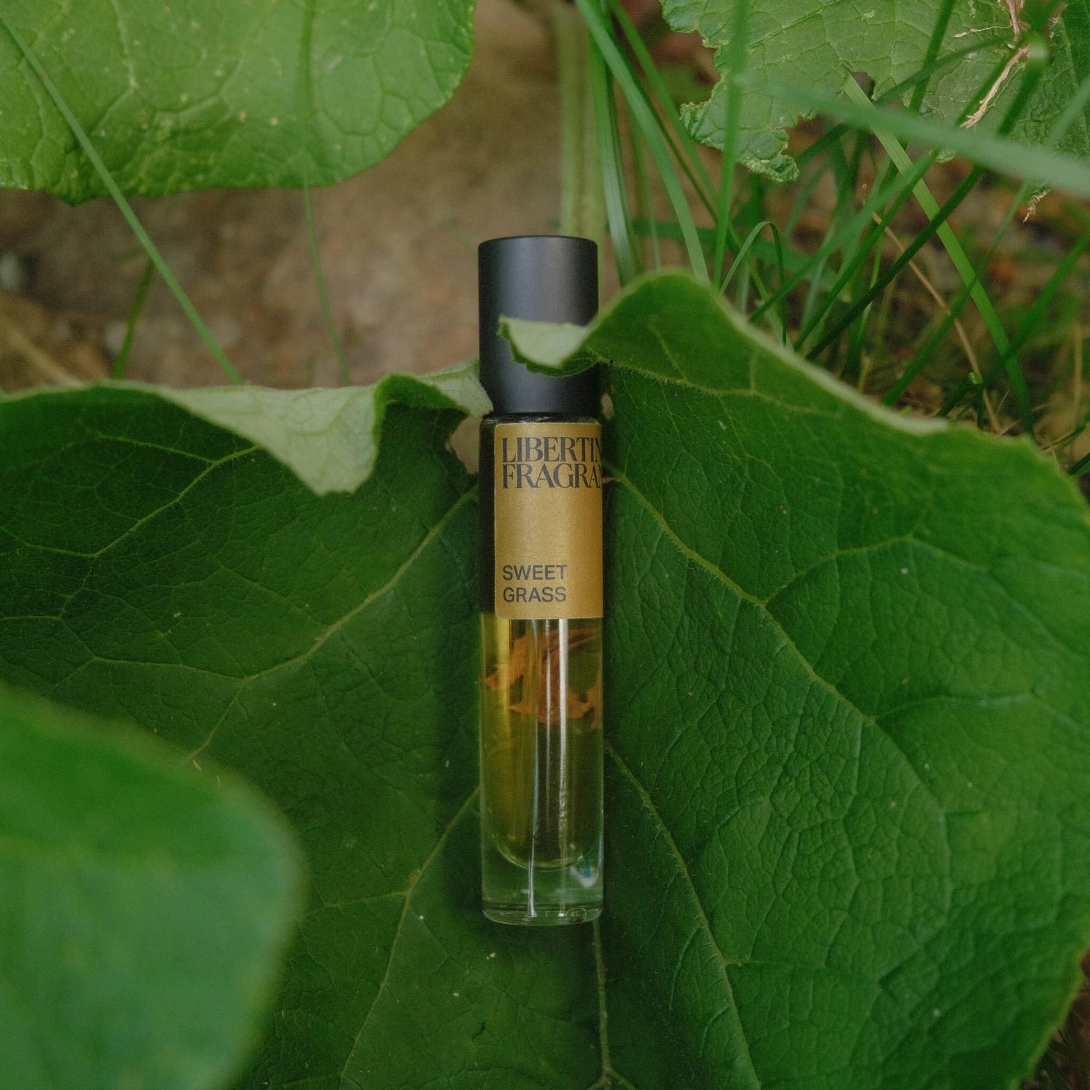 Libertine Eau de Parfum - Sweet Grass - Public Mercantile