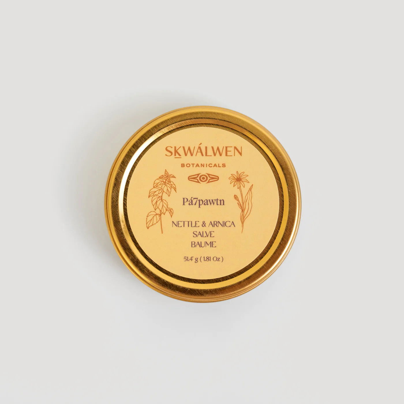 Pá7pawtn Nettle + Arnica Salve — Skwálwen Botanicals - Public Mercantile