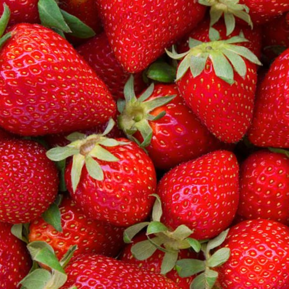 Strawberry Sunshine Shrub - Public Mercantile