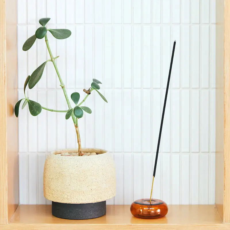 Teakwood & Tobacco Incense — P.F. Candle - Public Mercantile