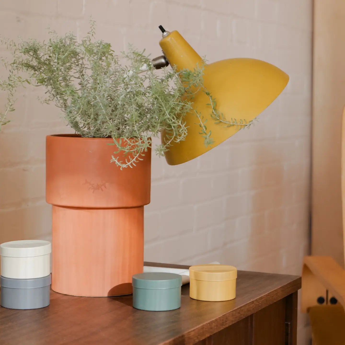 La bougie de l'apiculteur — Kit de terrain