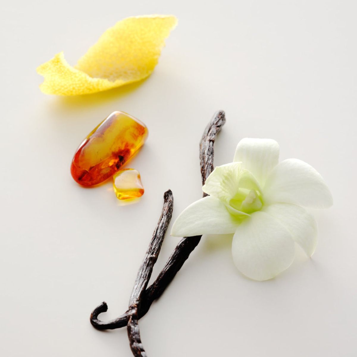 No.15 Vanille Infinie Perfume Oil — Maison Louis Marie - Public Mercantile