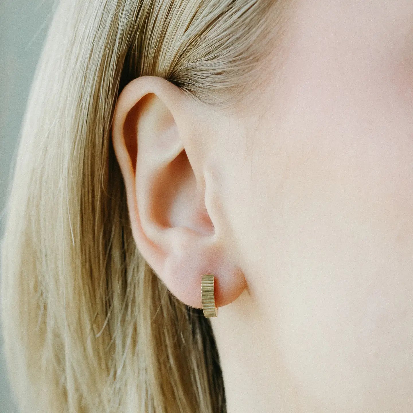 Aria Hoops Earrings — Petite Gold - Public Mercantile