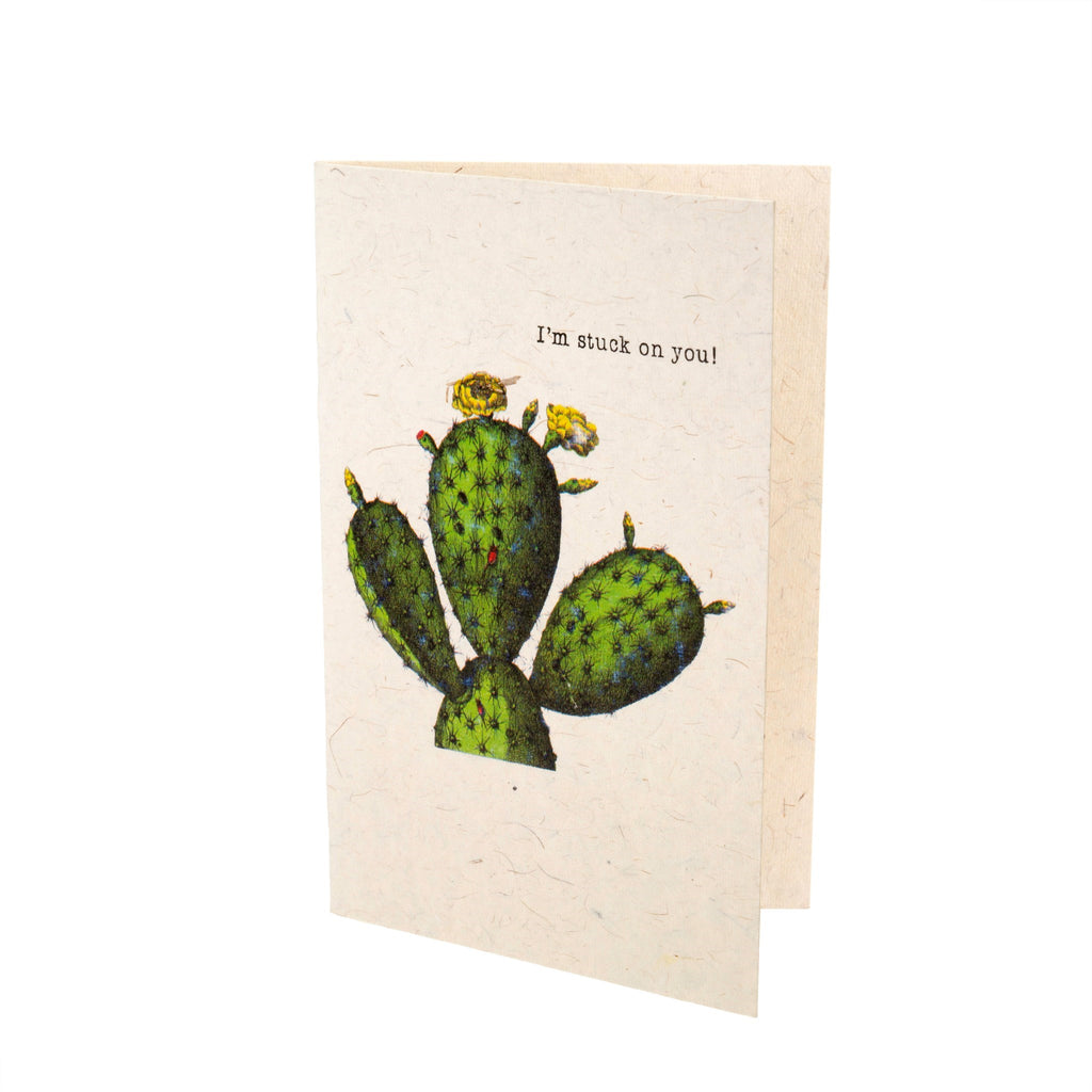 Stuck on You Cards - Set of 4